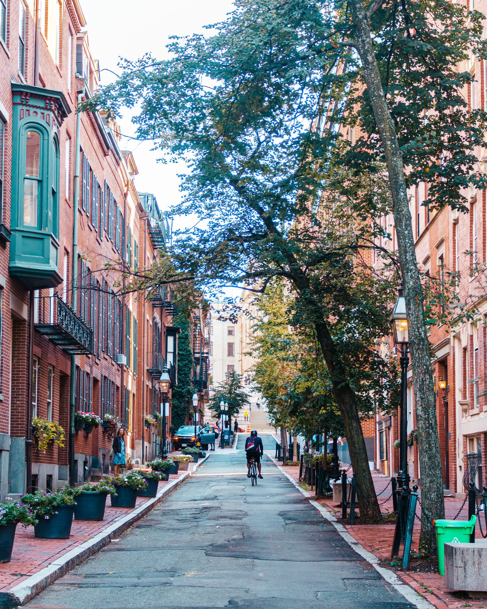 Tree-lined brick sidewalk