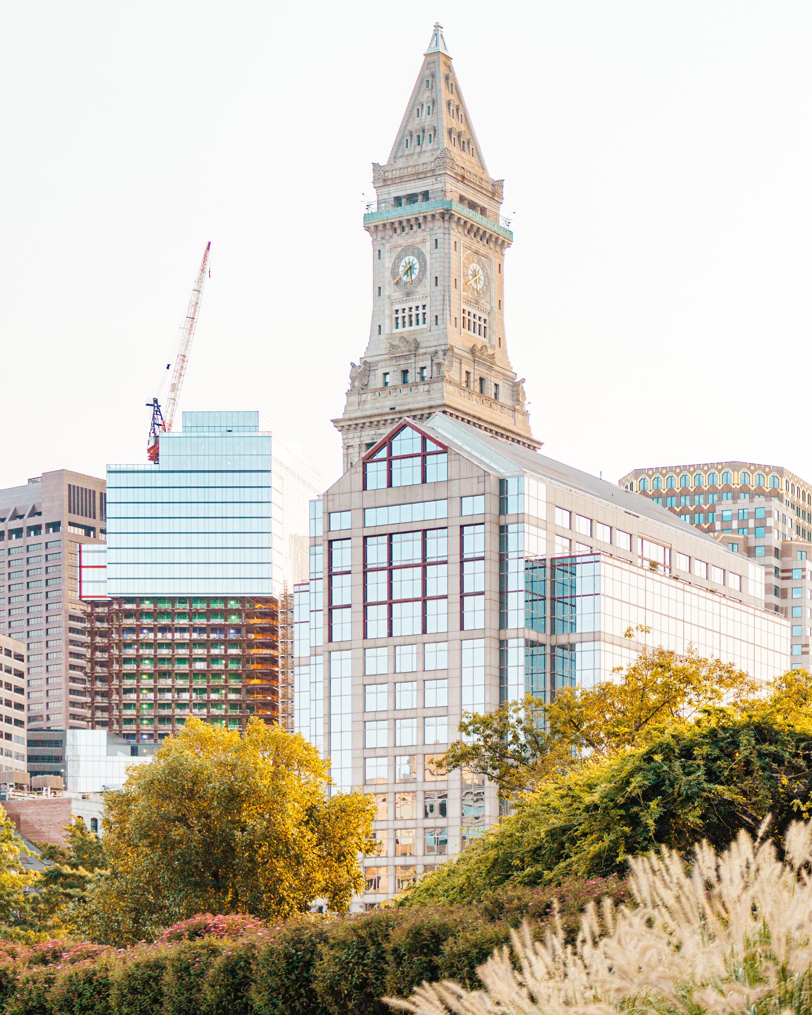 Custom House clock tower above the trees
