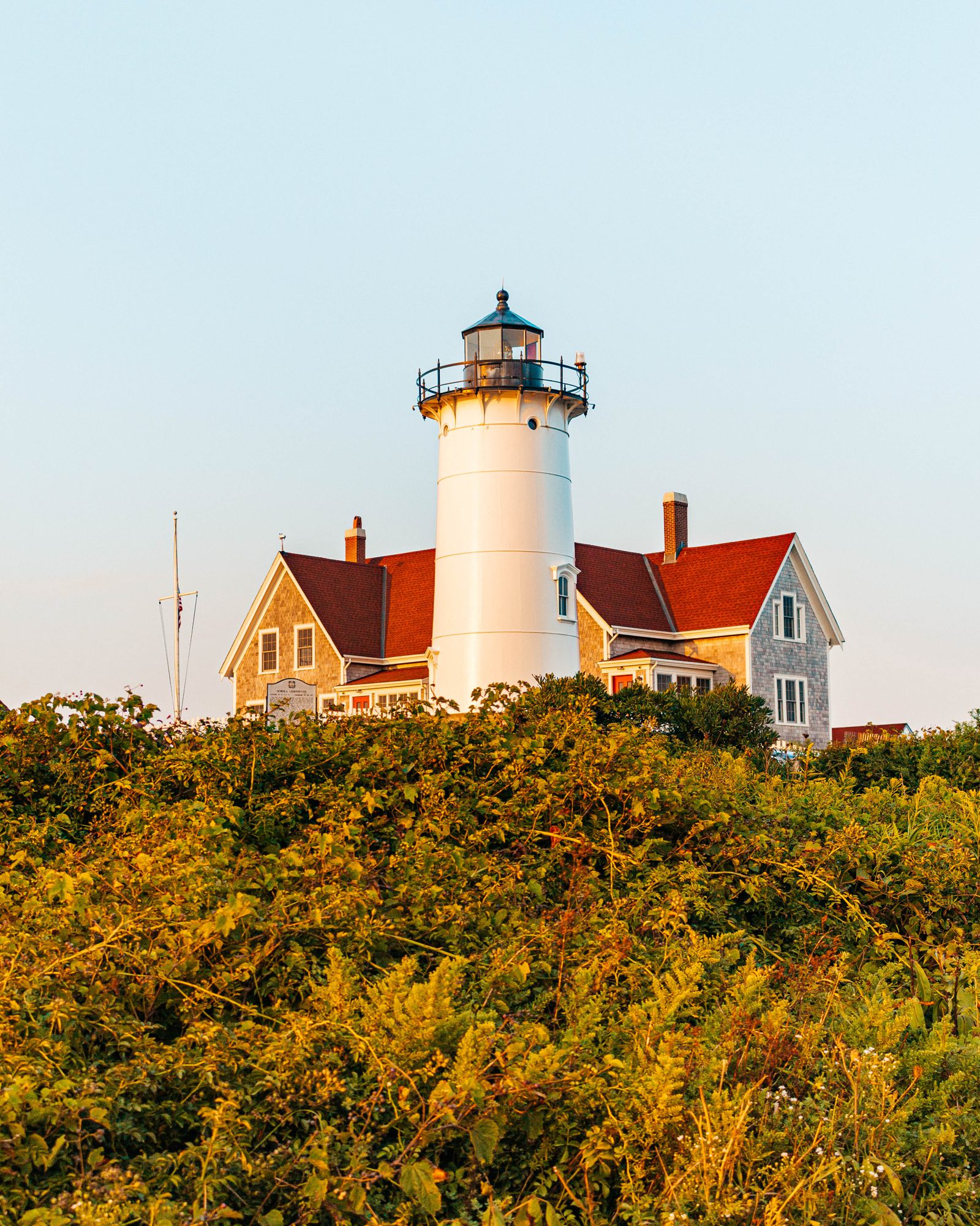 Nobska Lighthouse above golden shrubs