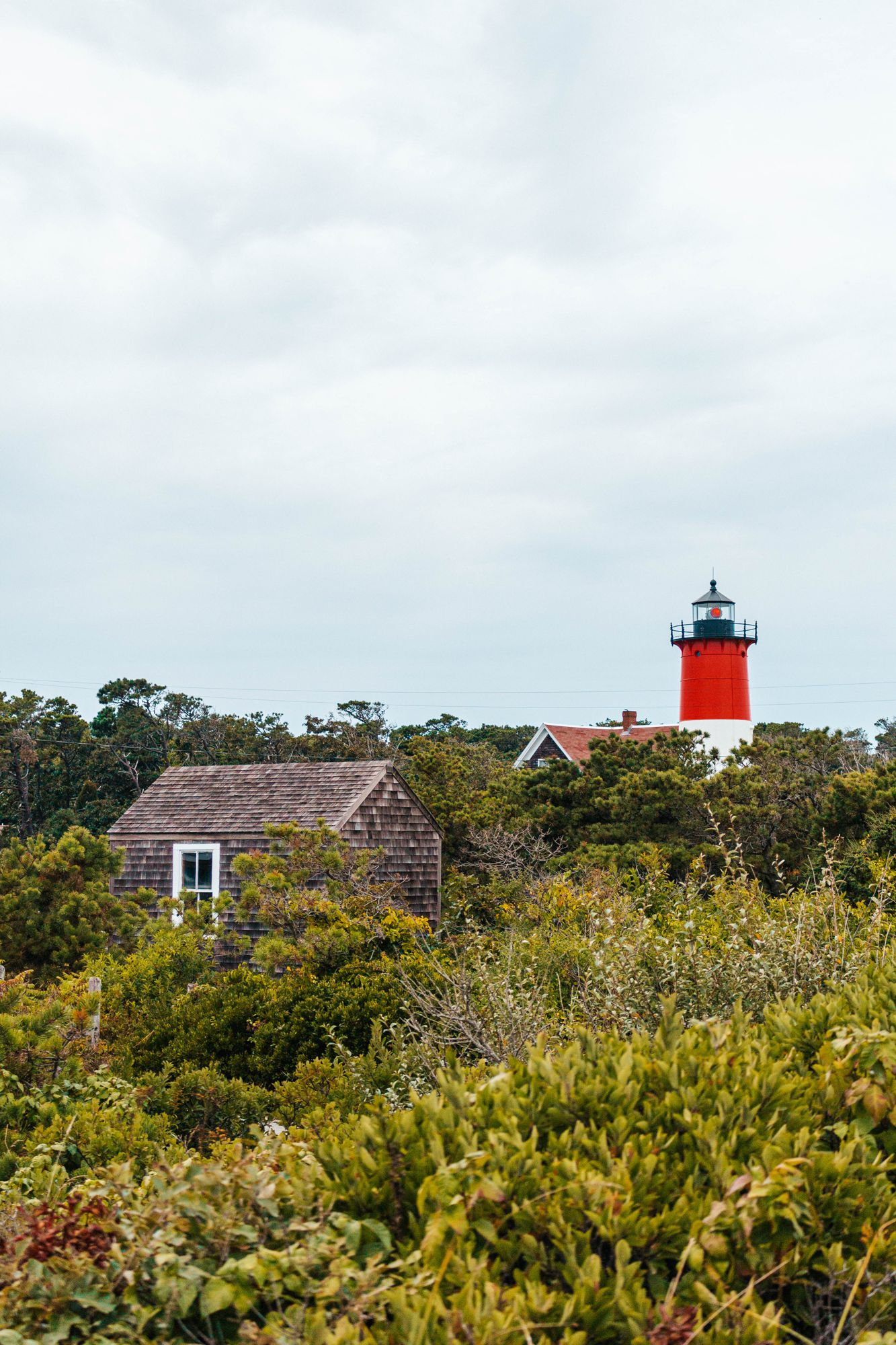 Lighthouse rising above the heath