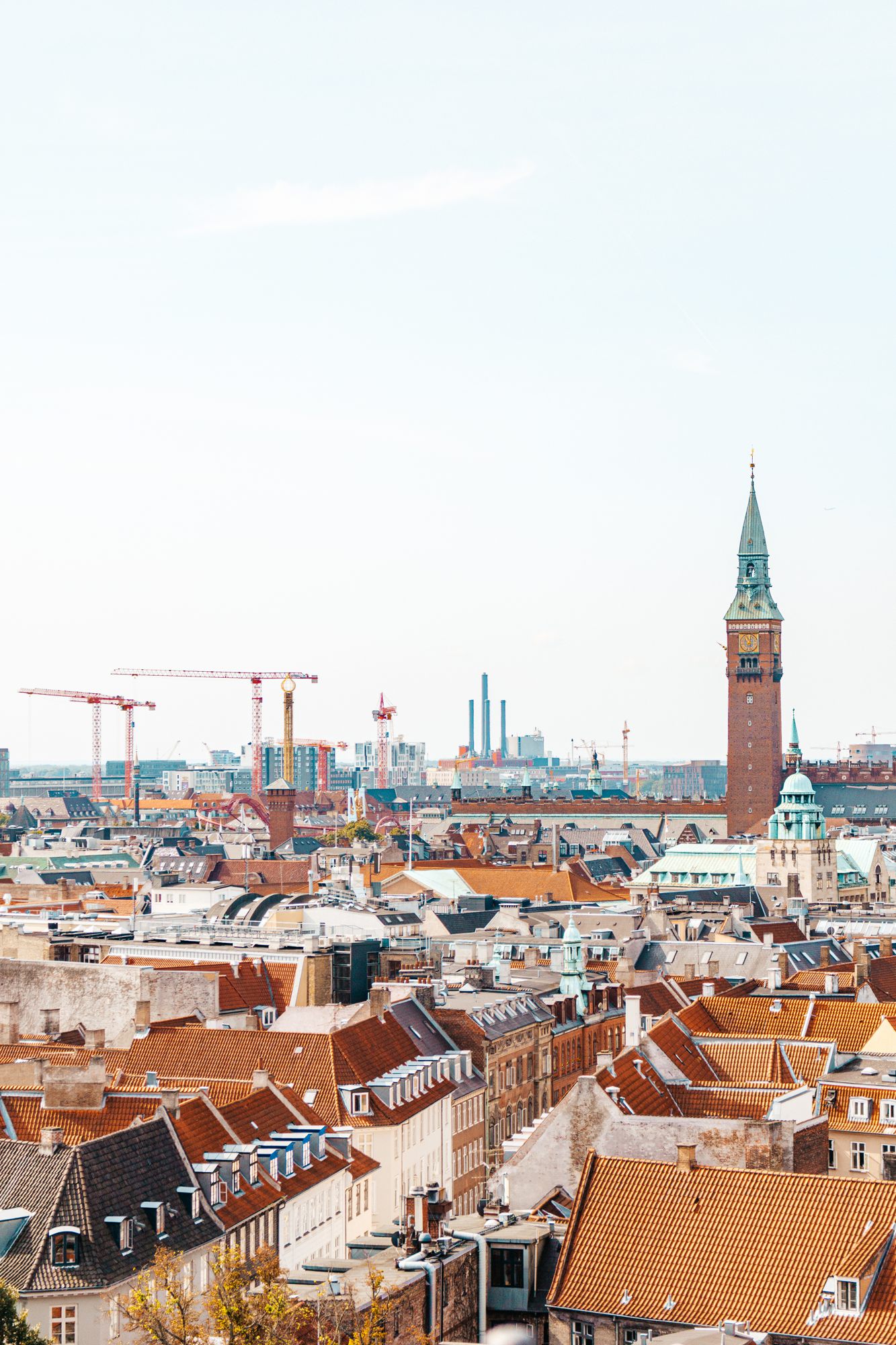 Rooftops and a church spire over the city