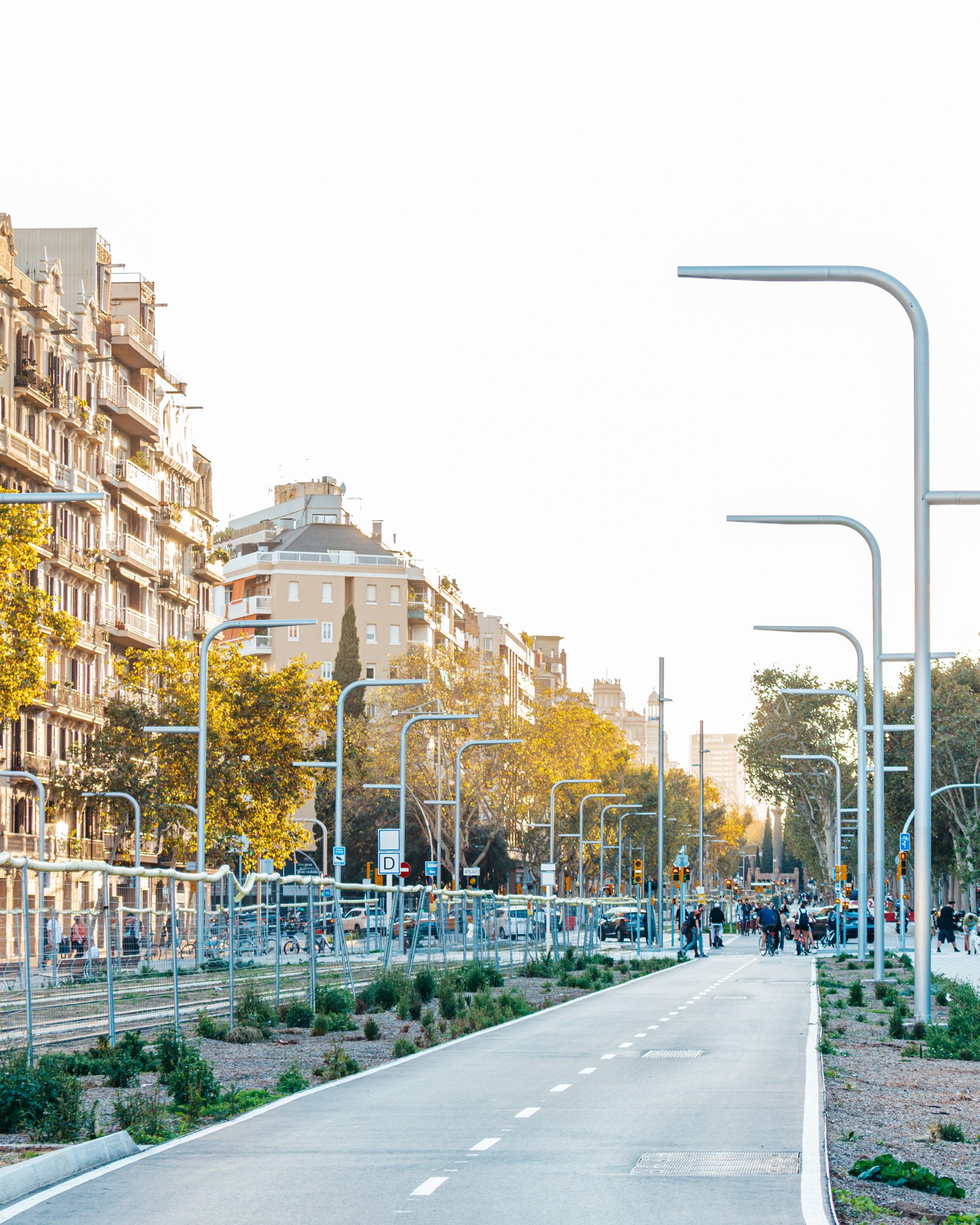 A new tree-lined street with street lamps