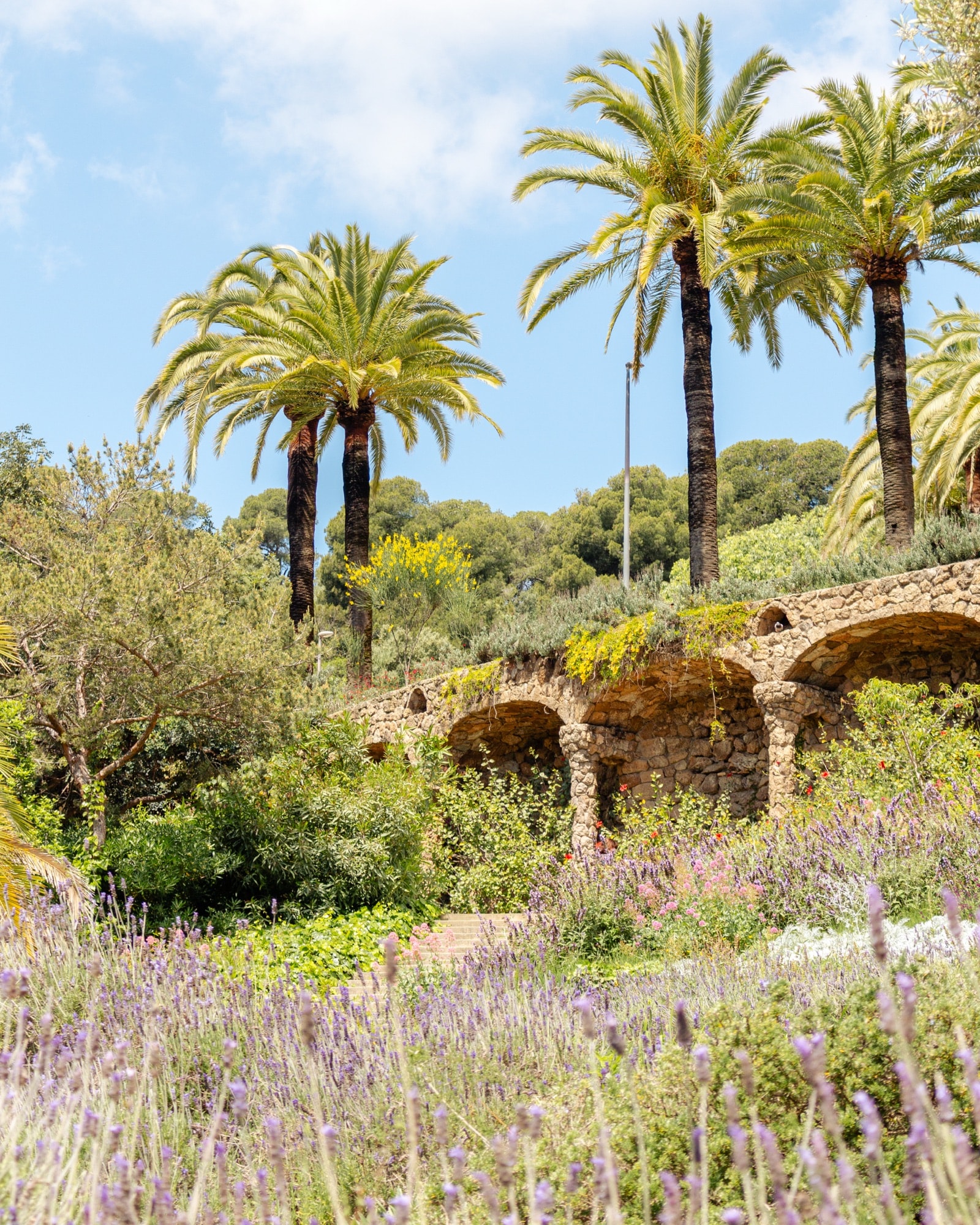 Palm trees and stone arches in Park Güell